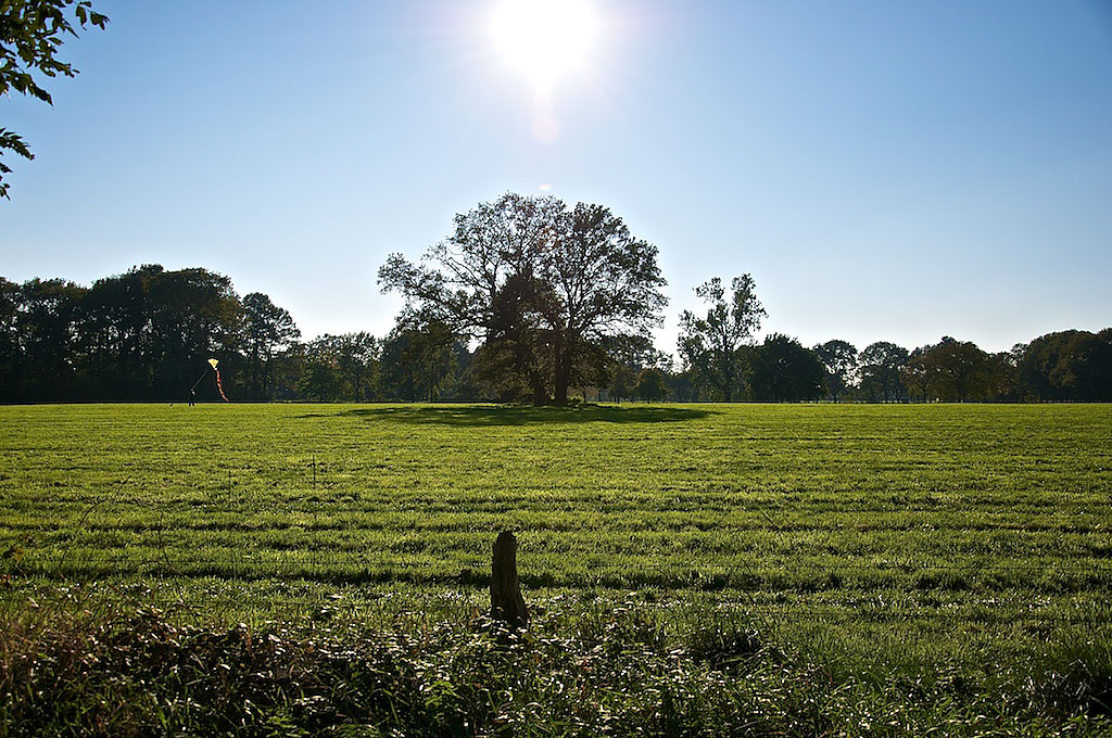 Spätsommer
