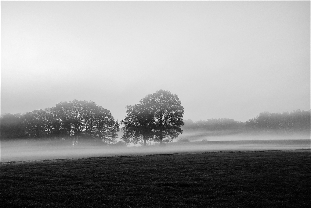 Spätsommermorgen - 29.09.2011 -