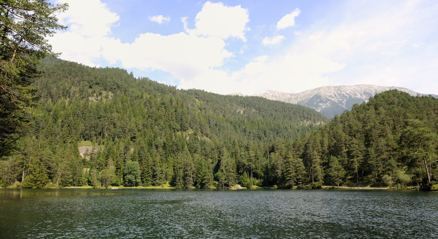 sp austria20100012