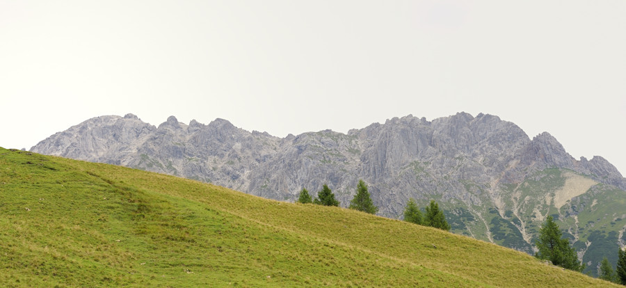 sp austria20100016
