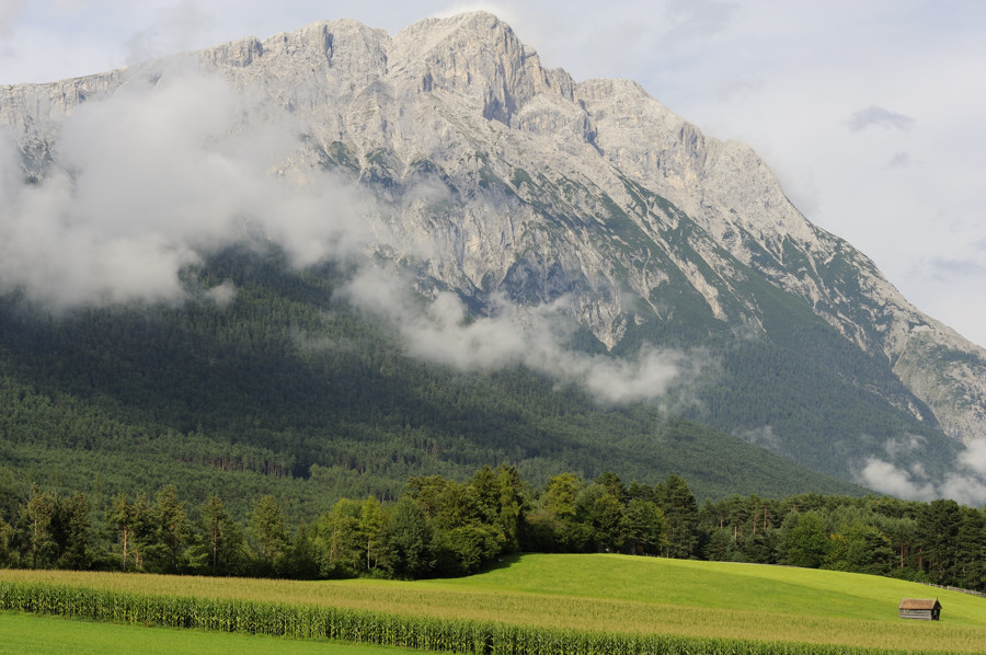 sp austria20100027
