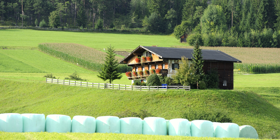 sp austria20100028