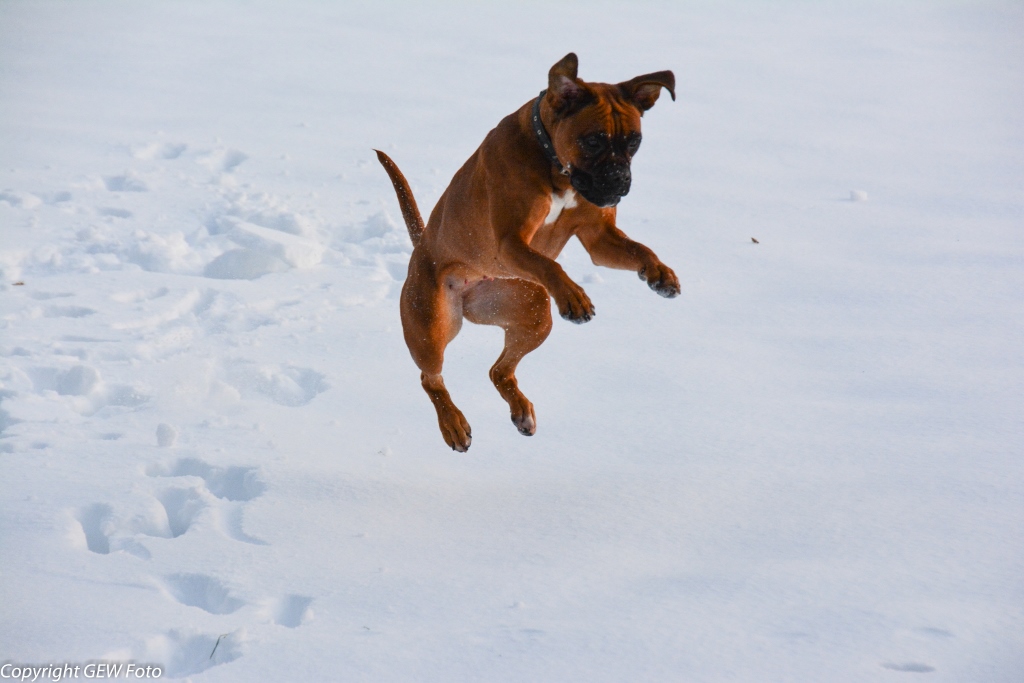 Spaß im Schnee