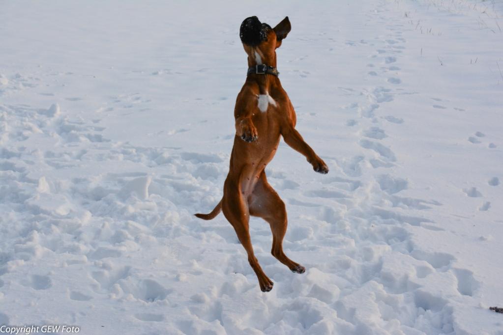 Spaß im Schnee