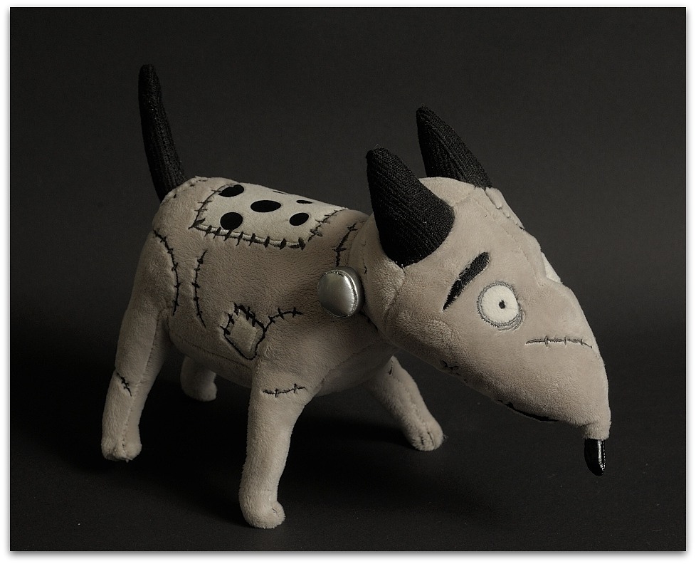 Sparky, 20141129
D700 24-120/4,0