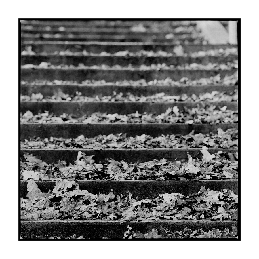 Spaziergang 1