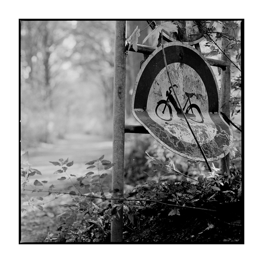 Spaziergang 2