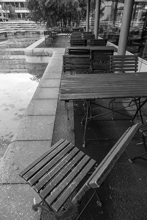 Spaziergang im Neuenheimer Feld (Uni) Heidelberg, Dez. 2013