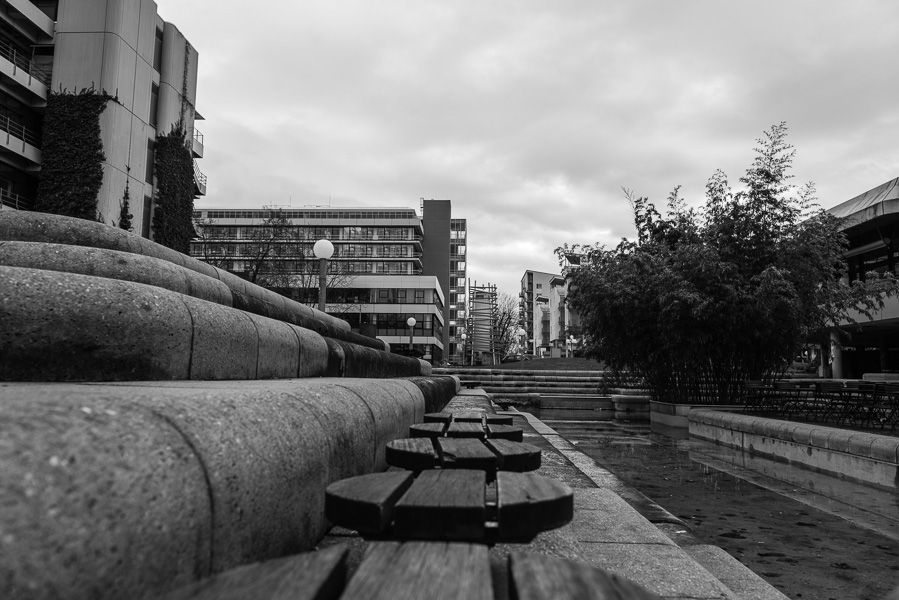 Spaziergang im Neuenheimer Feld (Uni) Heidelberg, Dez. 2013