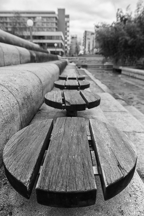 Spaziergang im Neuenheimer Feld (Uni) Heidelberg, Dez. 2013