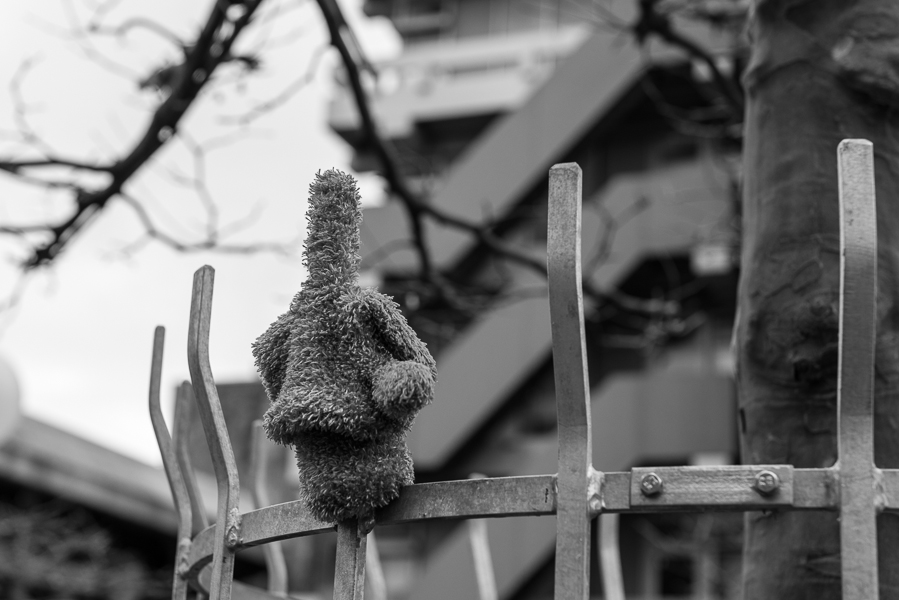 Spaziergang im Neuenheimer Feld (Uni) Heidelberg, Dez. 2013