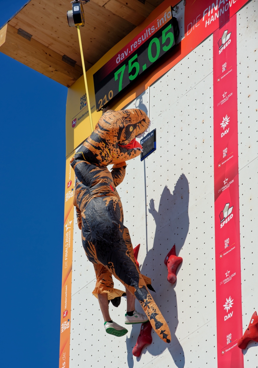 Speed-Climbing III.jpg
