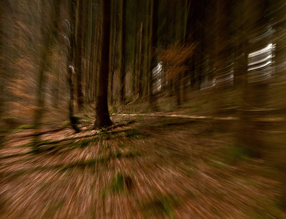 Speed