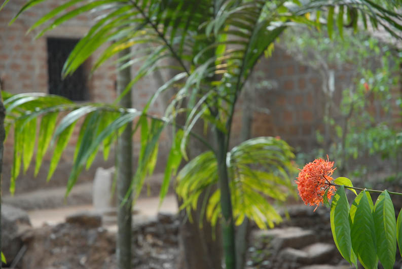 Spice farm (Goa)