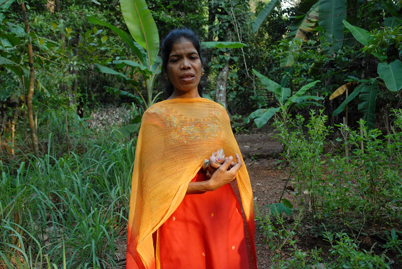 Spice farm in Goa