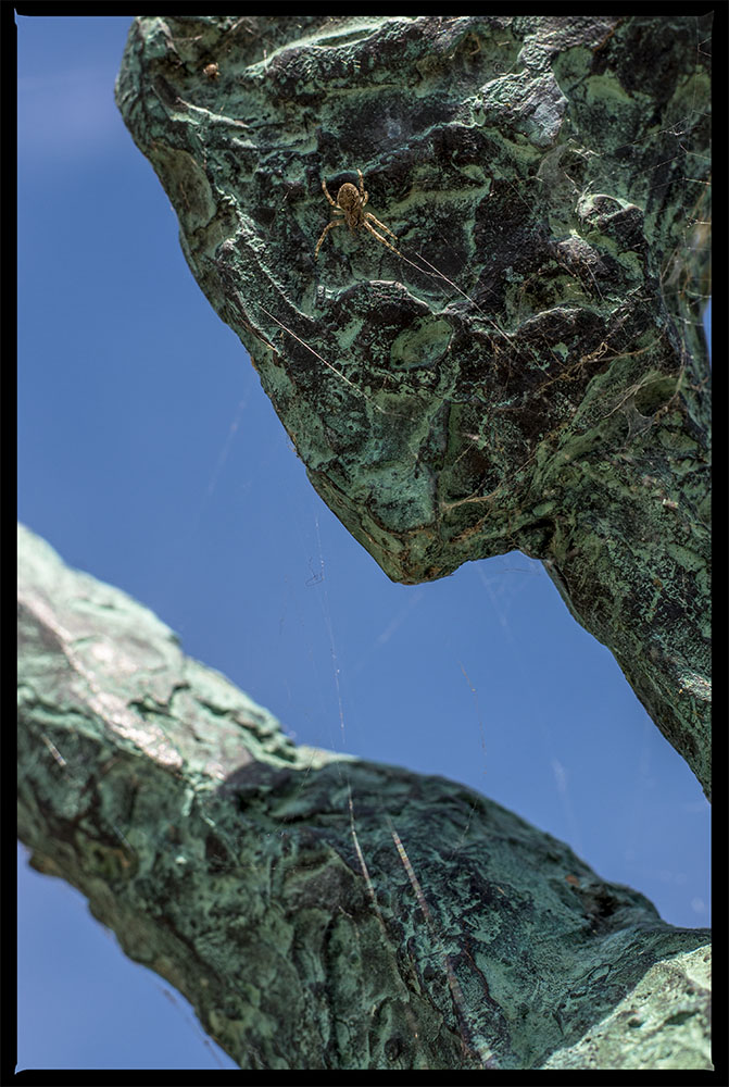 spiderwoman