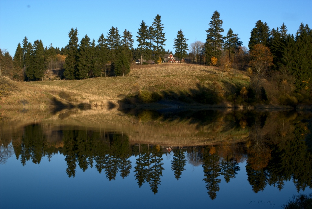Spiegelung am Unteren Eschenbacher Teich, Clausthal-Zellerfeld