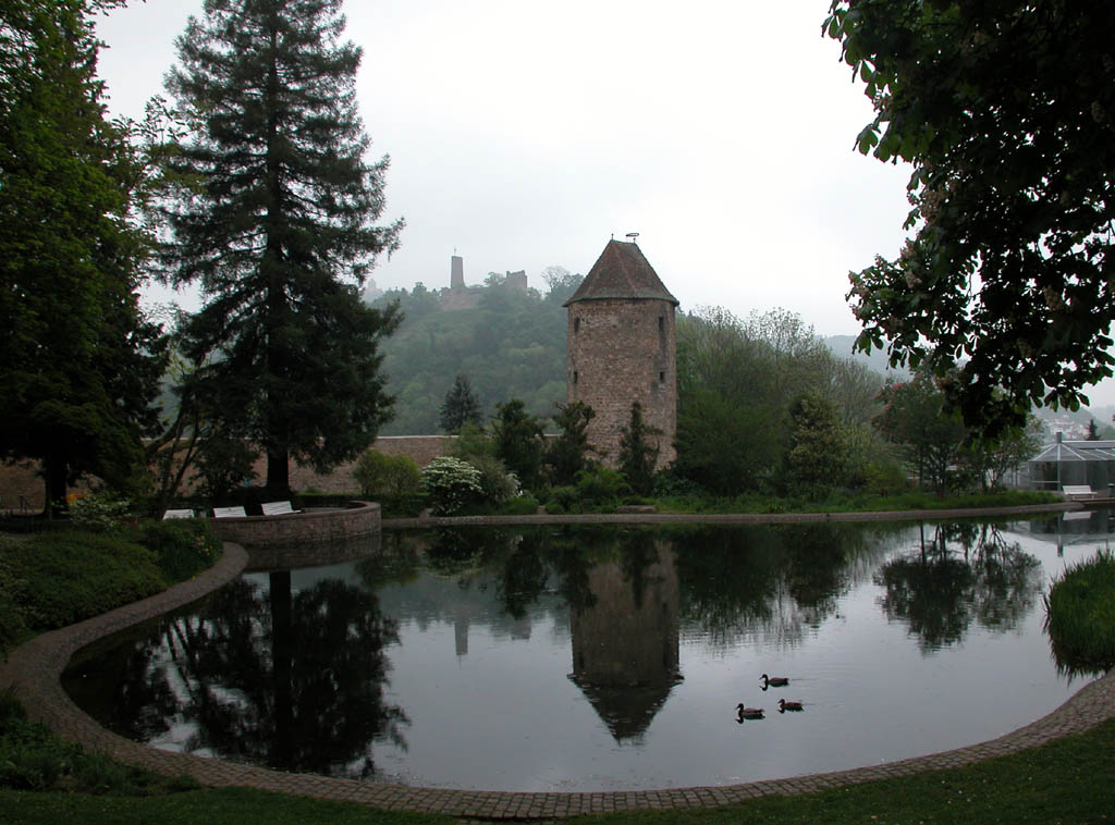 spiegelung blauer hut