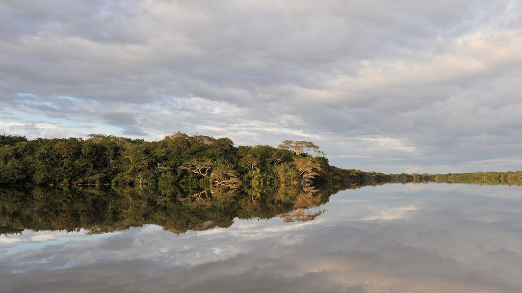 Spiegelung
Rupununi bei Karanambu
2400