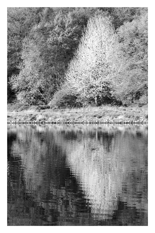 spiegelung sw