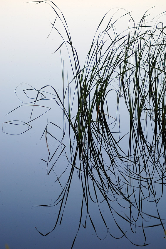 Spiegelung