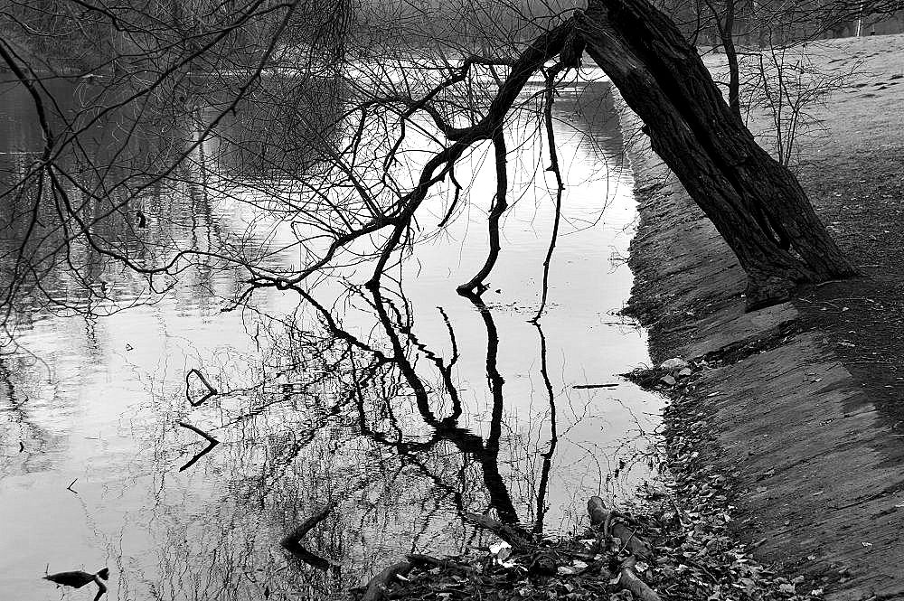 Spiegelung