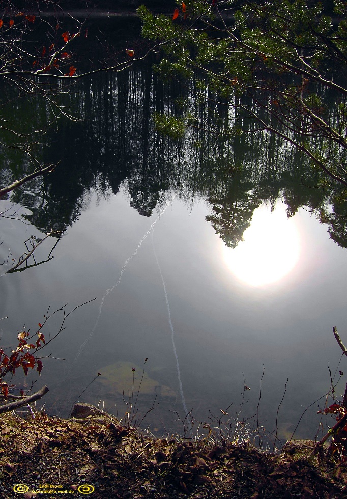 Spiegelungen
