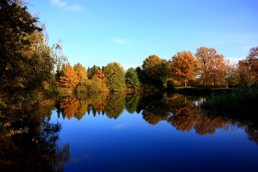 Spiegelungen