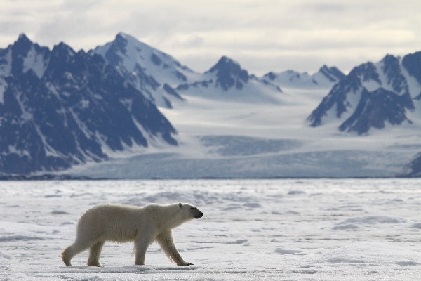 Spitzbergen 2011 JE