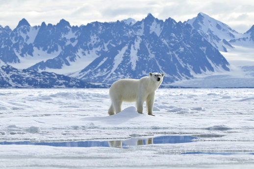 Spitzbergen, Foto: Sandra Petrowitz