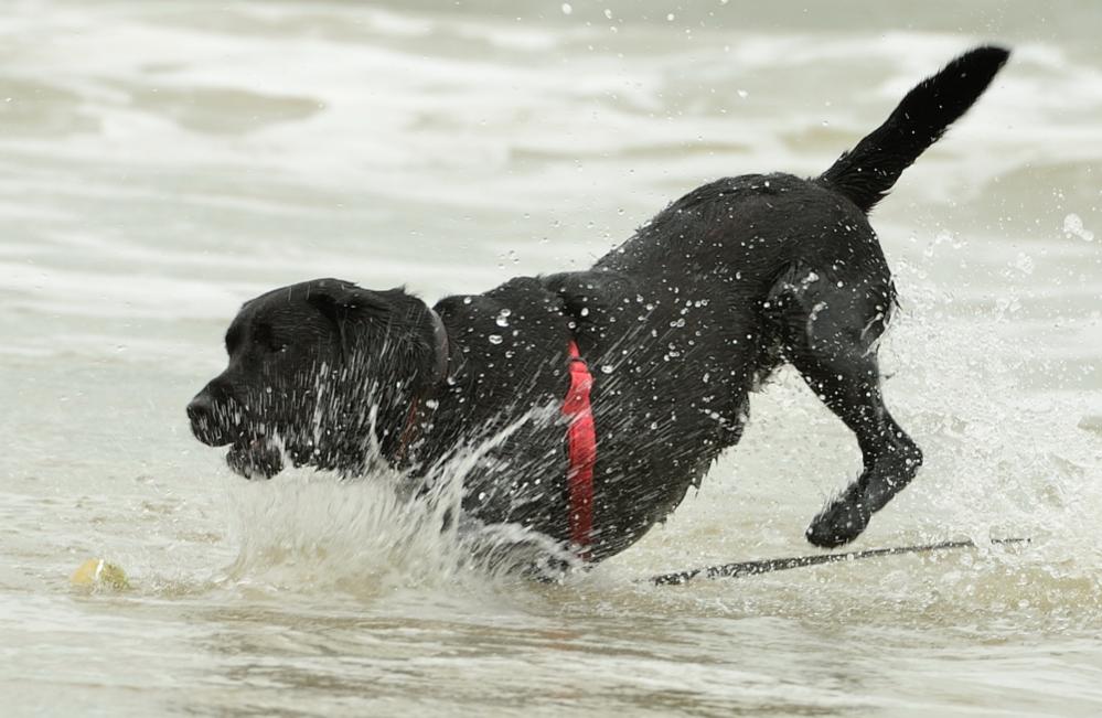 Splash