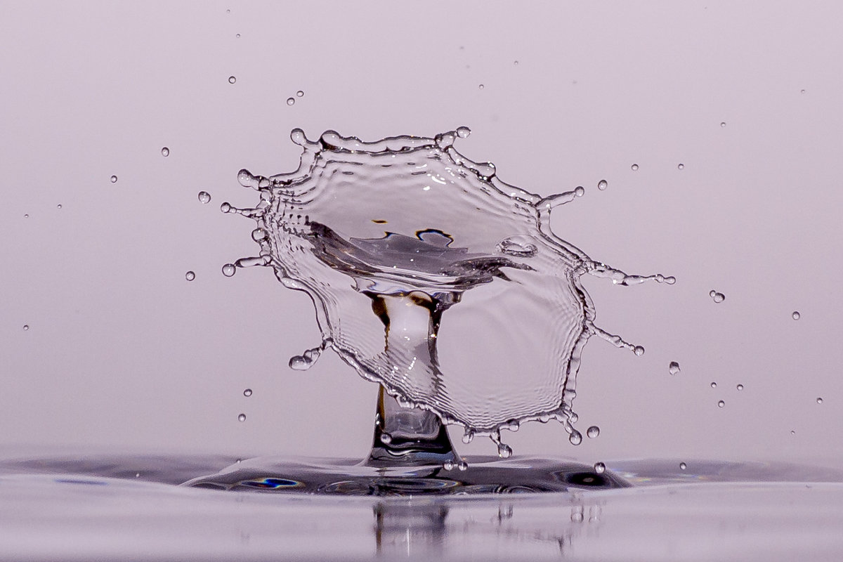 Splash