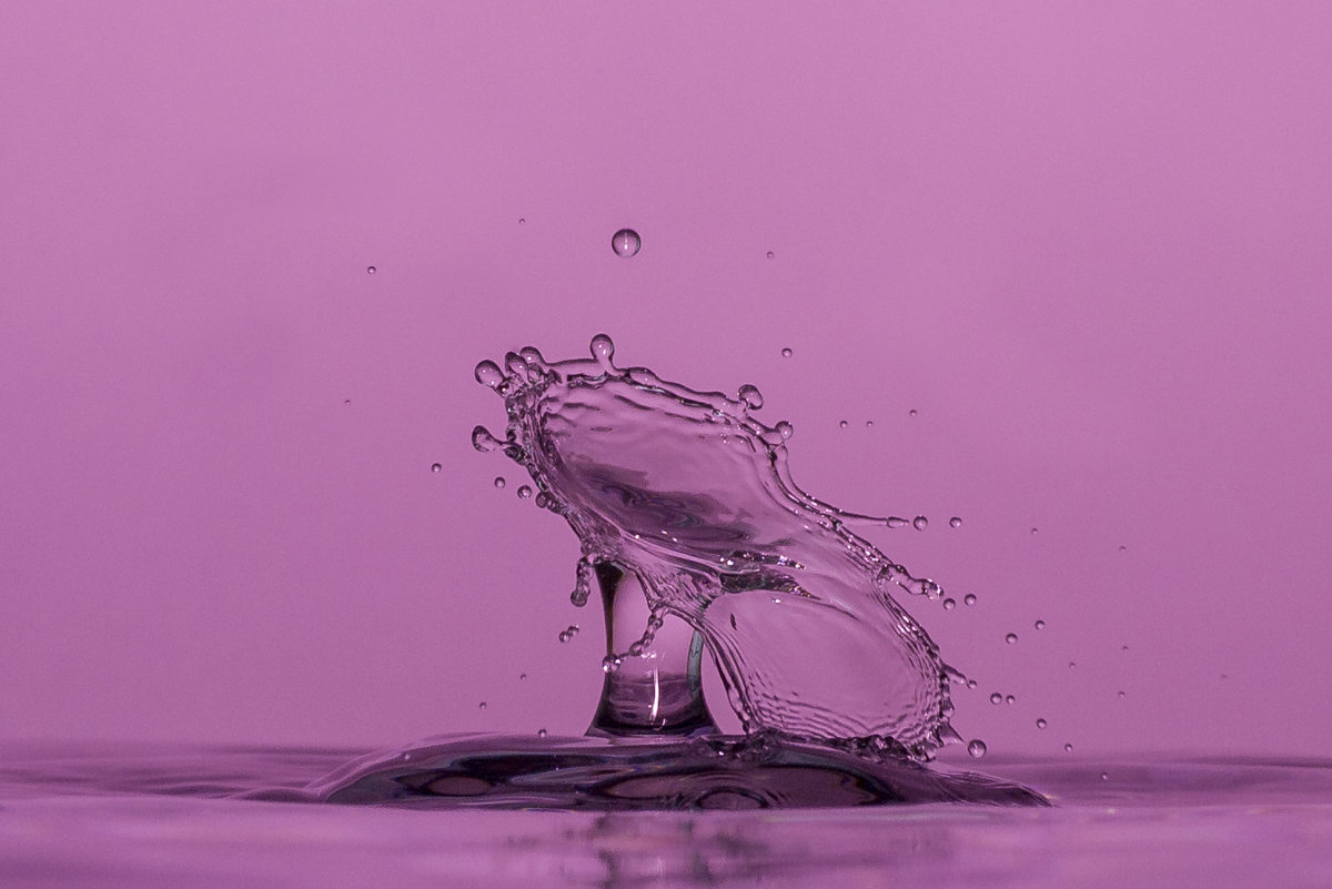 Splash