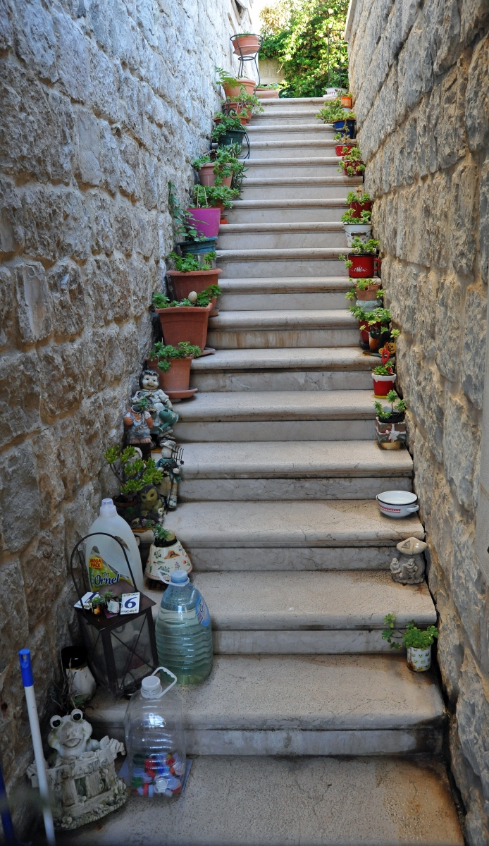 split_altstadt_treppe.jpg