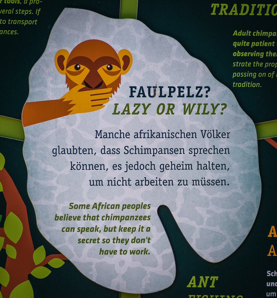 sprachlose Schimpansen