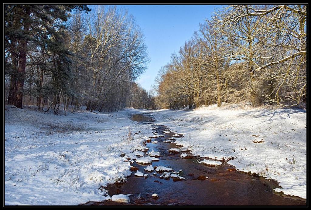 Spreeumfluter Winter Ruhlmühle