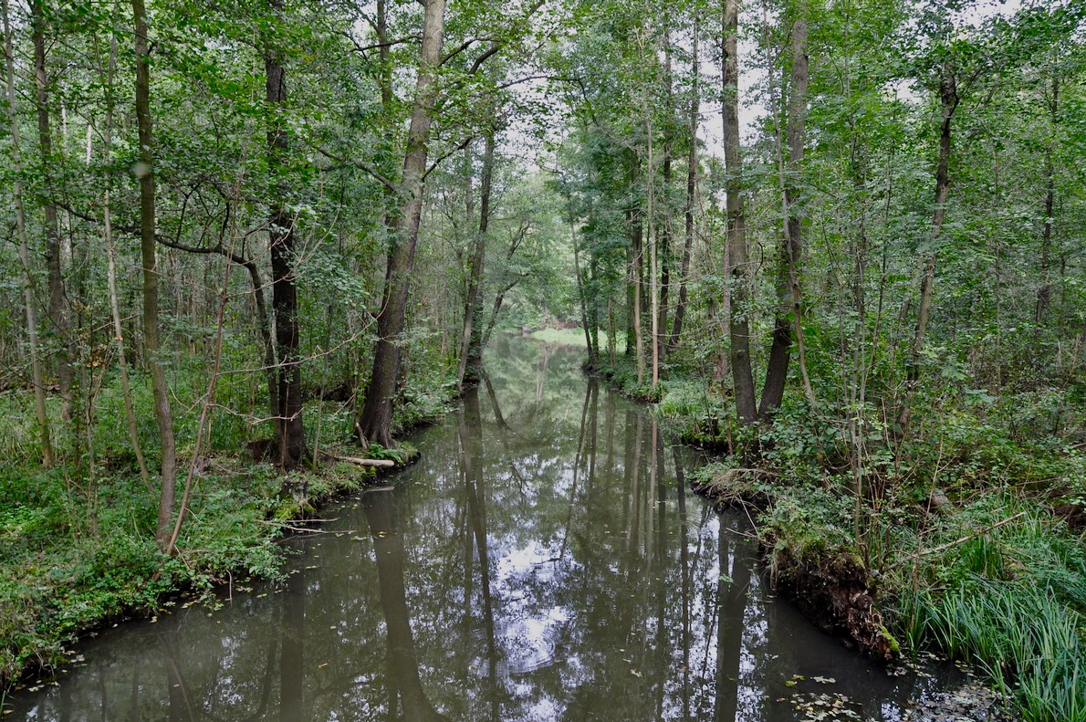 Spreewald
