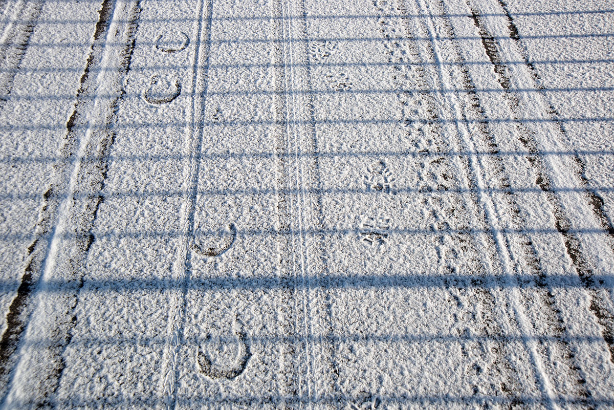 Spuren im Schnee