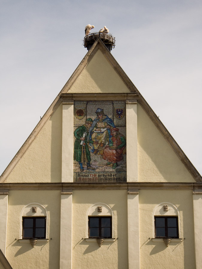 Störche