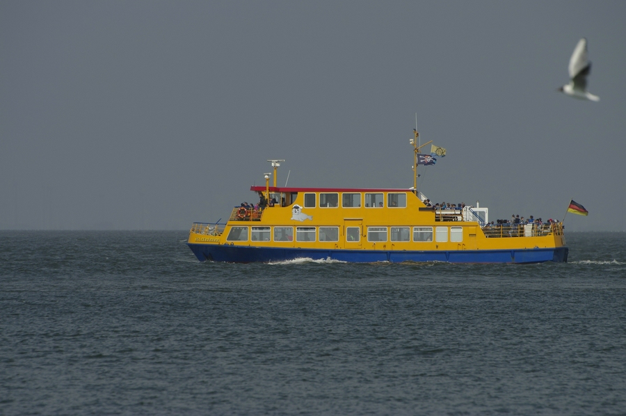 Störtebeker
