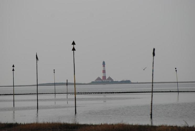 St.Peter Ording 2008 197a