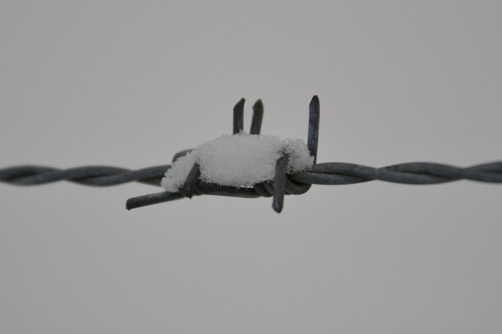 Stacheldraht im Schnee 01
