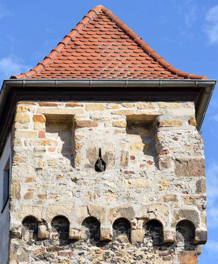 stadtmauer_turm_freinsheim.jpg