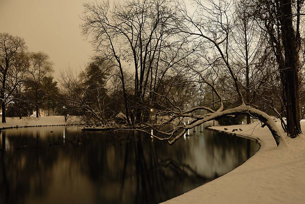Stadtpark 002