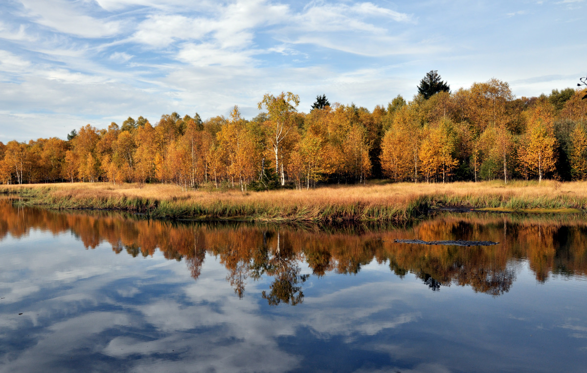 Stausee am Roten Moor in der Rhön