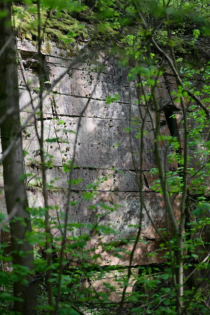 Steinbruch_6.jpg