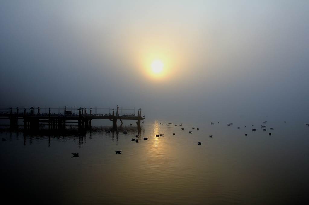 Steinhude Sonnenuntergang Nebel 11