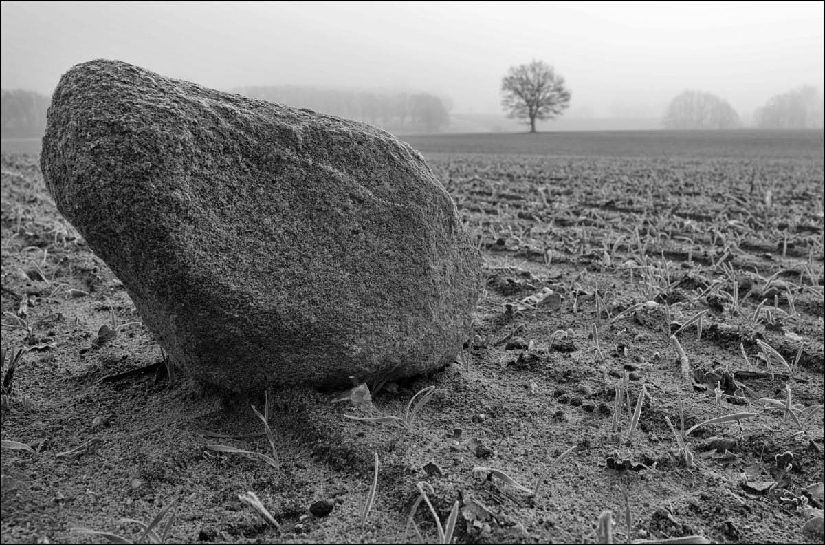 Steinreich_2 BW.jpg