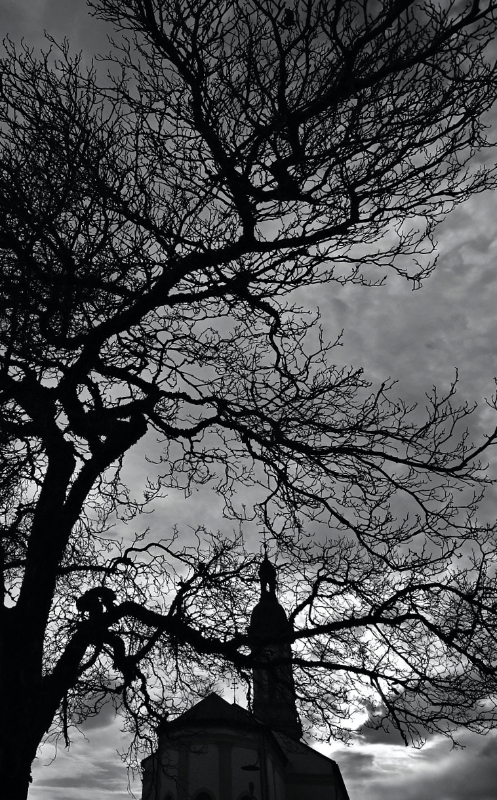 Stille II