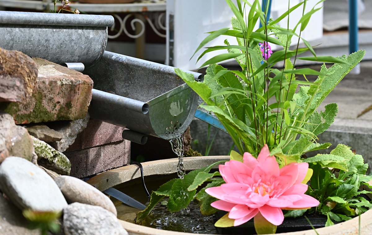 Stilleben mít Brunnen.jpg